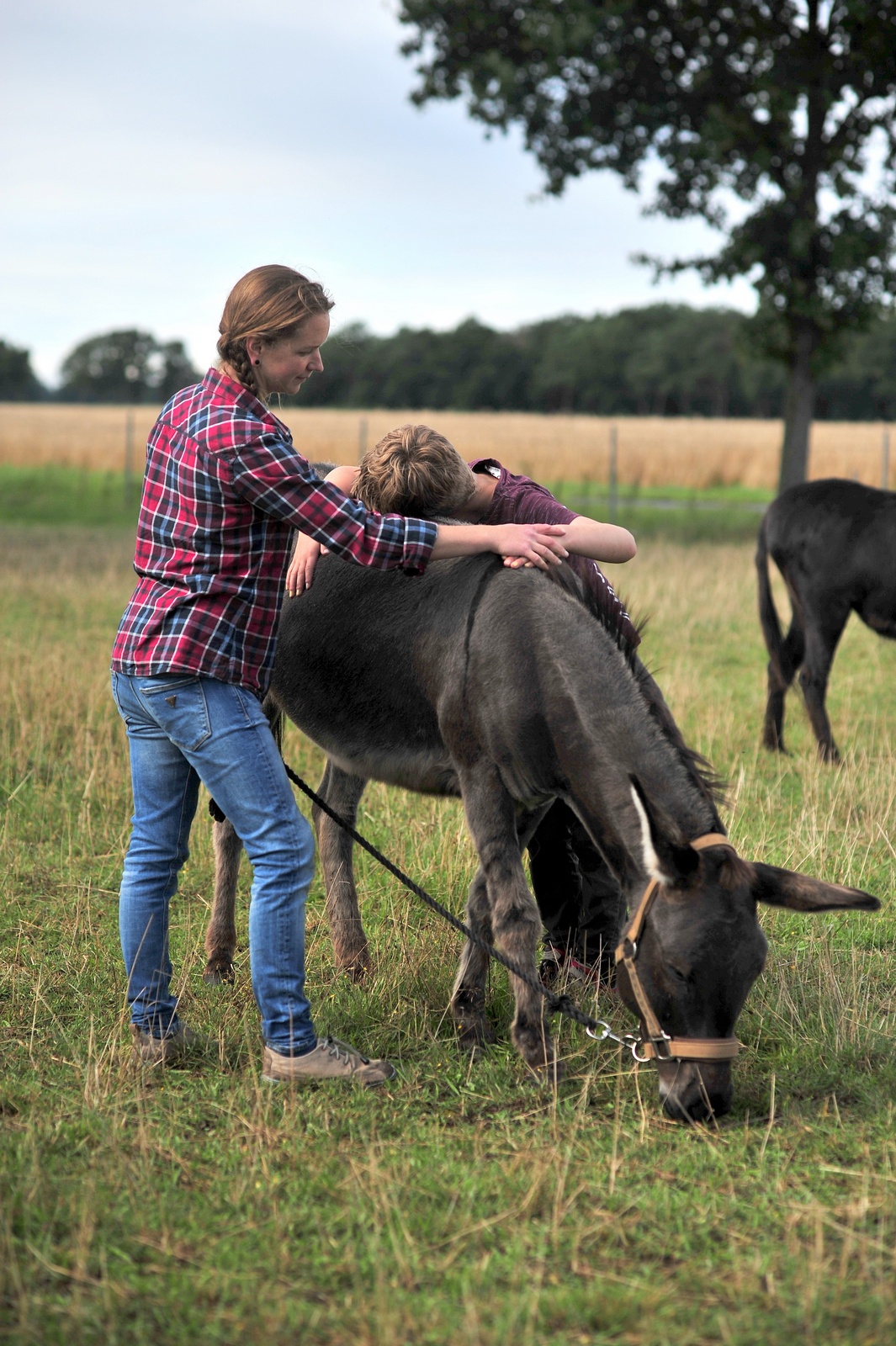 Tiergestützte Interventionen mit Eseldame Emma